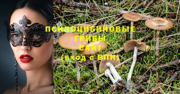 Альфа ПВП Балахна