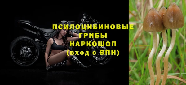 гашиш Рославль